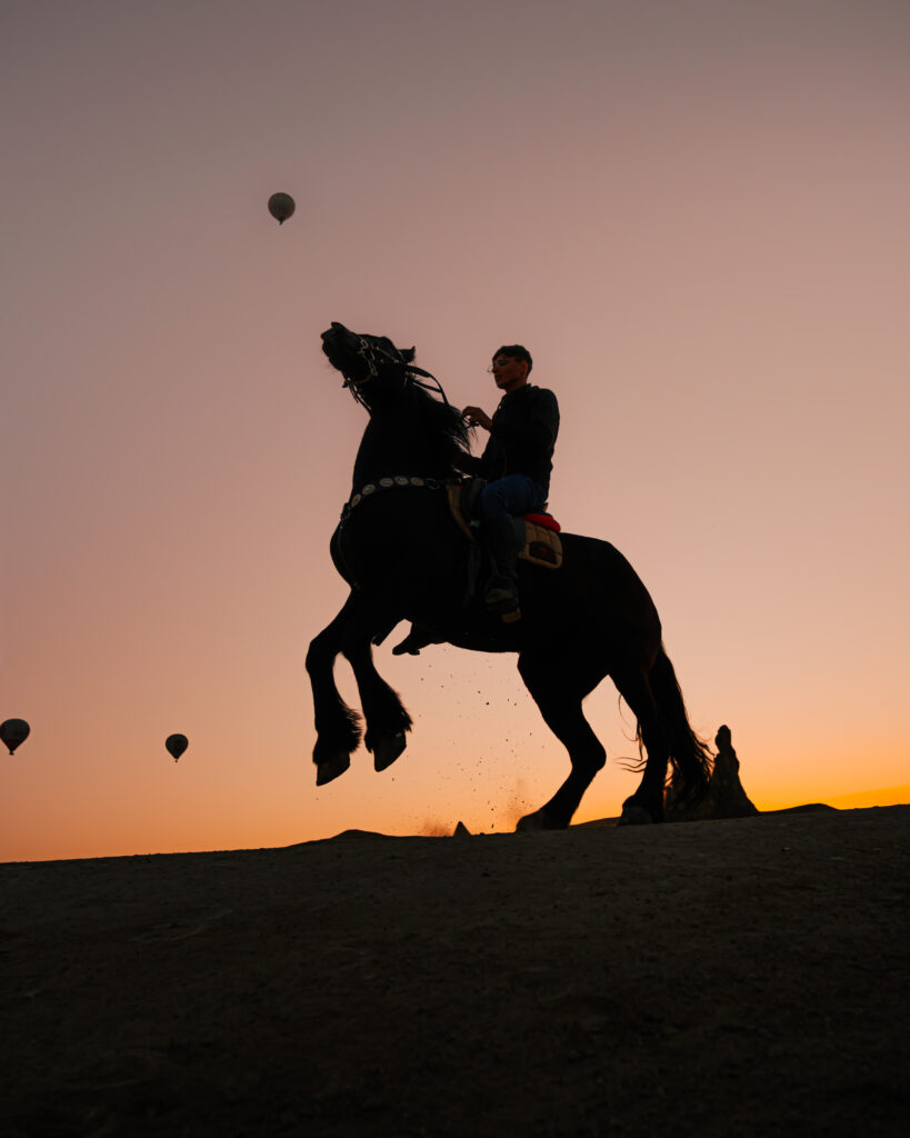 Fixer in Cappadocia - Cappadocia Equine Photography